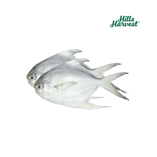 Rupchanda Fish