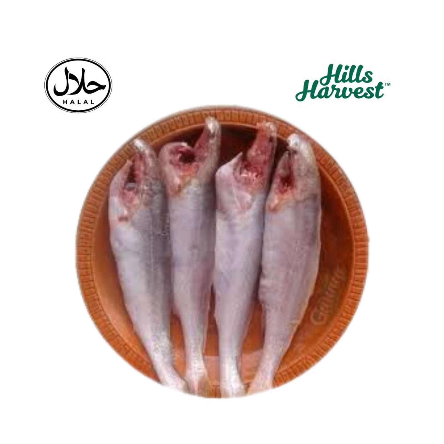 Frozen Poa Fish 500g – Bengali frozen fish from Hills Harvest