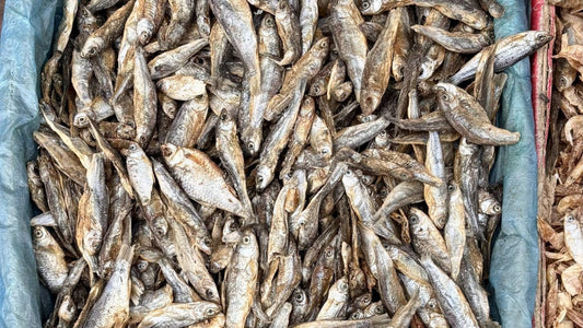 Shutki in Sydney: Five Dried Fish and How to Cook Them