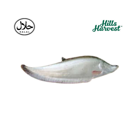 Fresh chital fish â€“ Bengali deshi fish from Hills Harvest