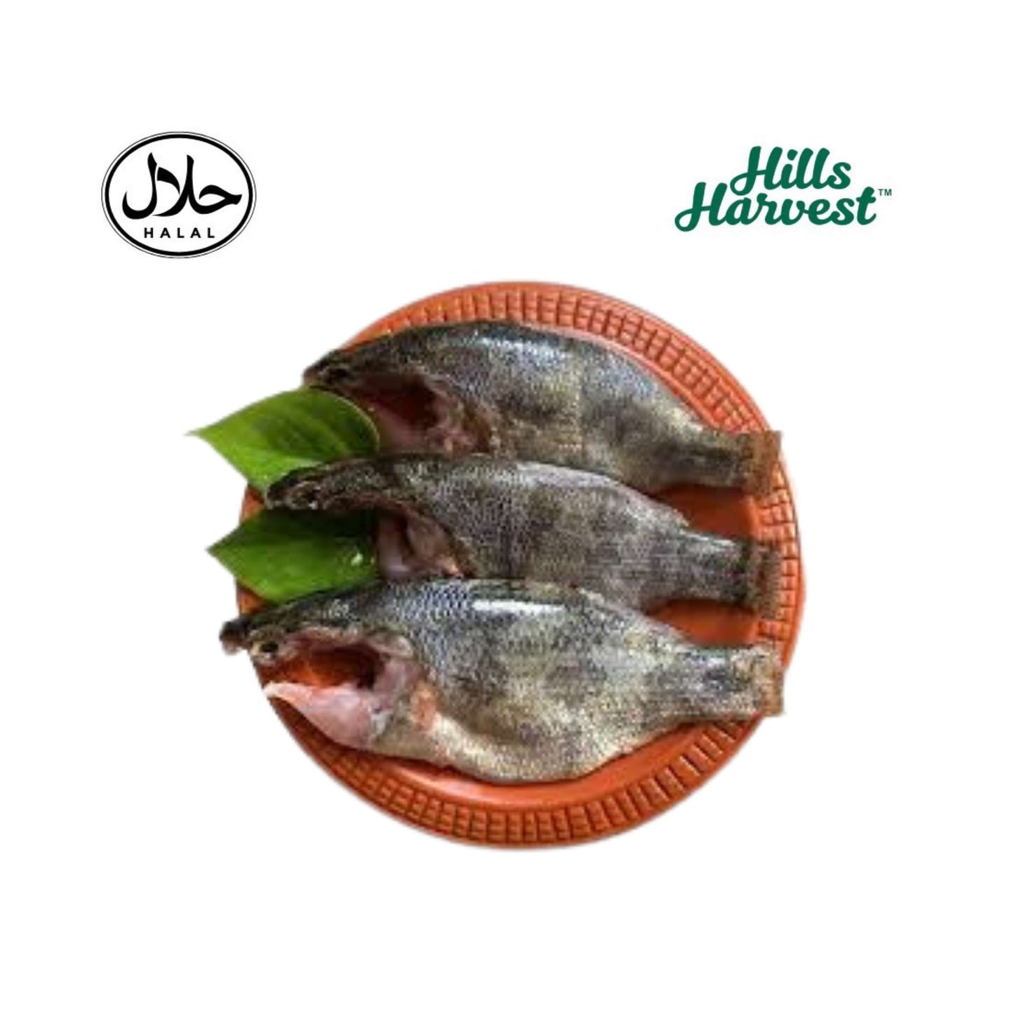 Frozen Meni Fish Block 500g â€“ Bengali frozen fish from Hills Harvest