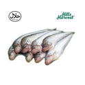 Frozen Pabda Fish Block 500g â€“ Bengali frozen fish from Hills Harvest