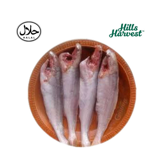 Frozen Poa Fish 500g â€“ Bengali frozen fish from Hills Harvest