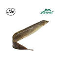 Frozen Long Baim Fish Block 500g â€“ Bengali frozen fish from Hills Harvest
