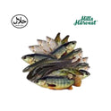 Halal mixed fish large â€“ ready-made curry from Hills Harvest