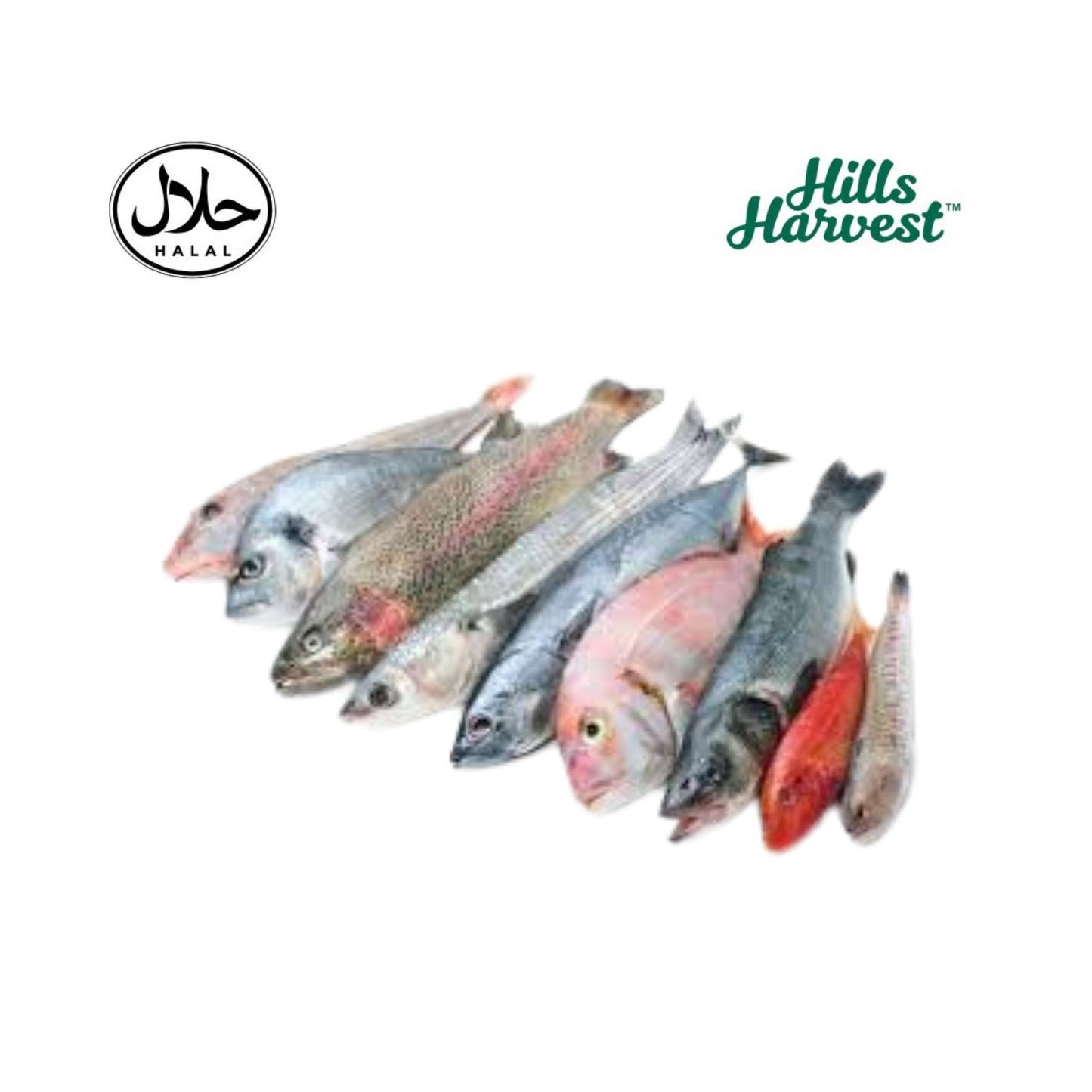 Halal mixed fish medium â€“ ready-made curry from Hills Harvest