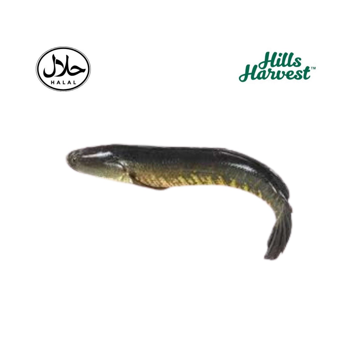Fresh shoil fish block 500g â€“ Hills Harvest